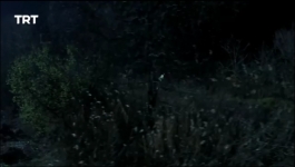 Payitaht Sultan AbdulHamid - Season 01 Episode 16